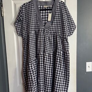 Anthropologie Navy and White Gingham Dress